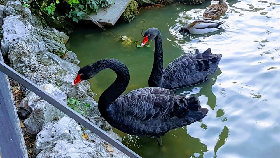 Madrid: Retiro Park Guided Tour with a Photographer - Key points before you go