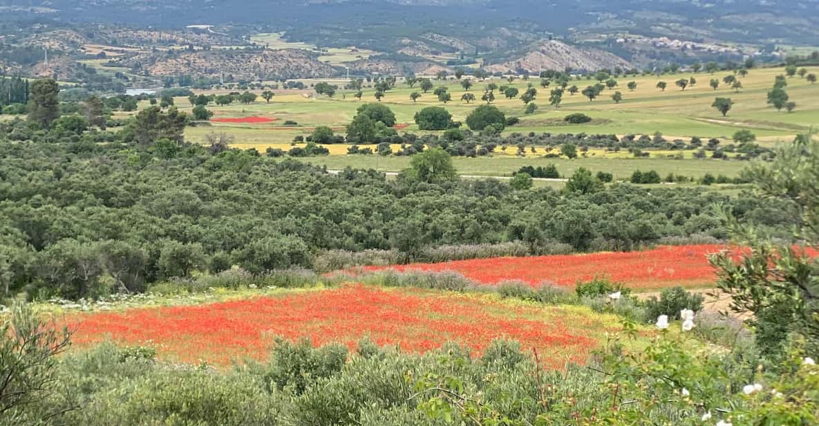 Madrid: Unspoiled Spain for Foodies & Nature ❤️’s - The aperitif, tastings, and lunch feast in a castle-wall home