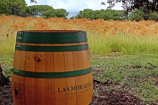 Madrid Wine Tour: Visit Two Wineries with Tastings - What the Guide Adds: Michael’s Wine-Making + Tasting Coaching