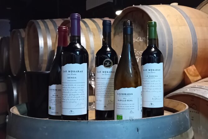 Madrid Wine Tour: Visit Two Wineries with Tastings - Pace and Timing: Why the Day Works (and When It Might Feel Long)