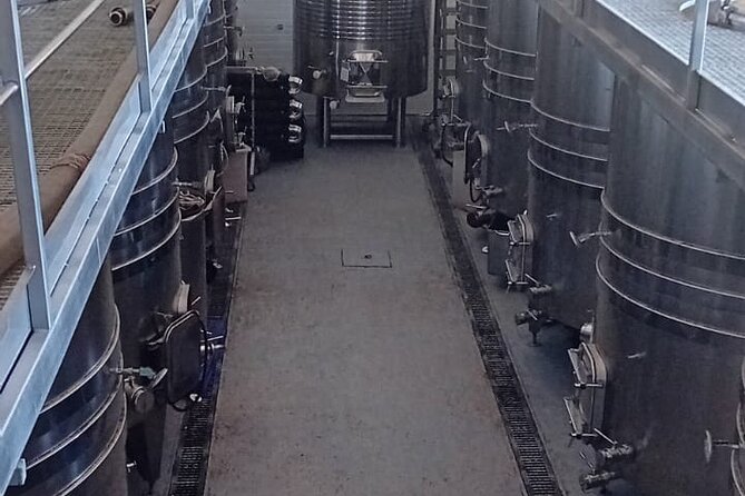 Madrid Wine Tour: Visit Two Wineries with Tastings - Price and Value: Is $192.25 Worth It?