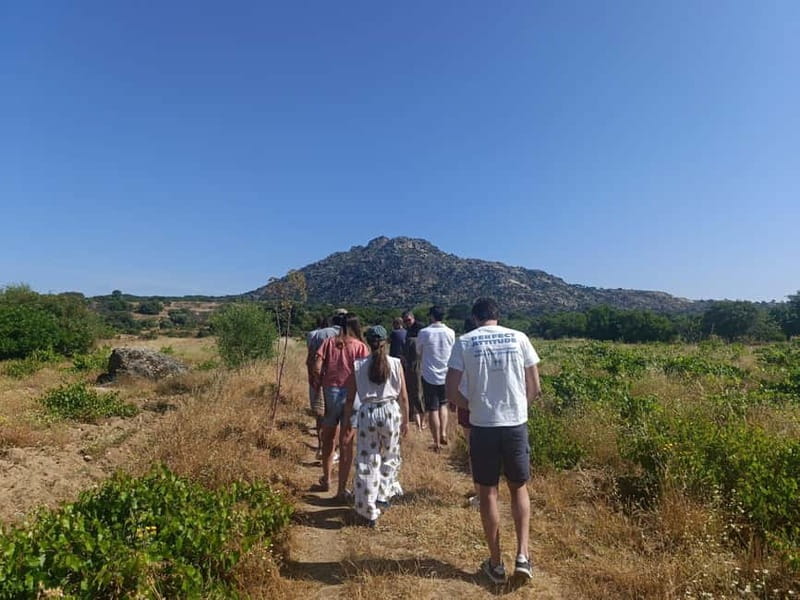 Madrid Winery Tour with Tasting & Sommelier Guide - Why this Madrid winery tour feels worth your time