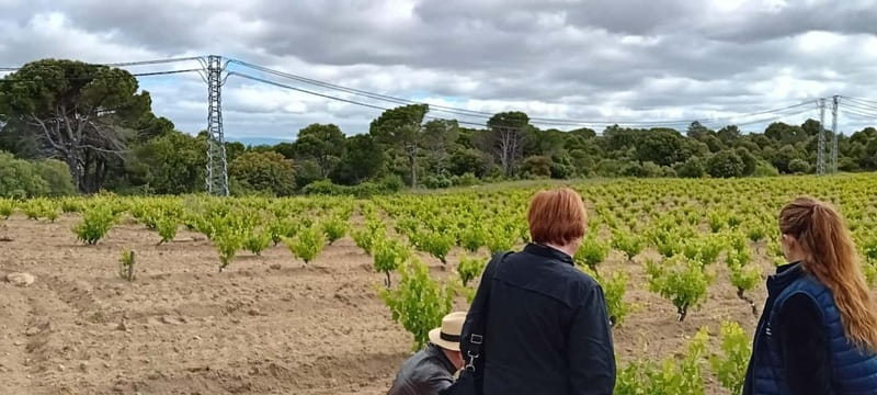 Madrid Winery Tour with Tasting & Sommelier Guide - Snacks, shopping, and leaving with bottles you actually want