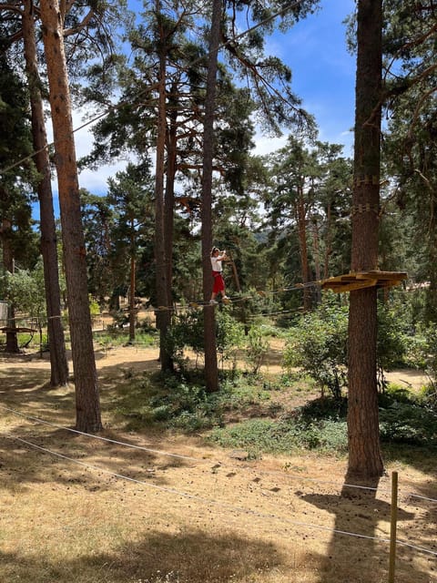 Madrid: Zip line circuits high in the trees - Key things to know before you book