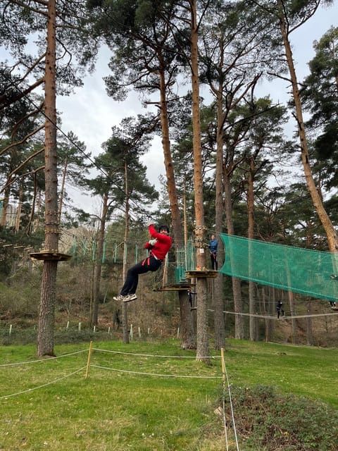 Madrid: Zip line circuits high in the trees - The 3-hour flow: how your time on the course feels
