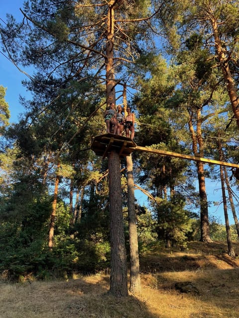 Madrid: Zip line circuits high in the trees - Who should do this treetop zip line adventure (and who shouldn’t)