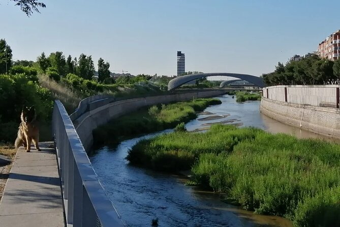 Manzanares River’s Story: A Self-Guided Audio Tour in Madrid - What You’re Getting: A Self-Guided Manzanares River Story in 1 Hour