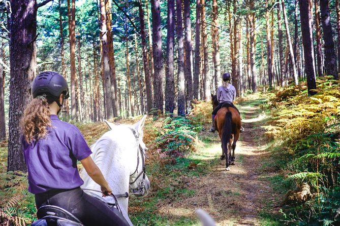 Private Horse Ride in Madrid natural park reserve - Key highlights you’ll feel right away