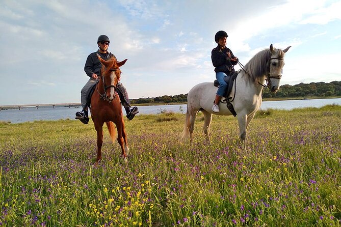 Private Horse Ride in Madrid natural park reserve - A Real Private Tour: What “2 to 6” Changes