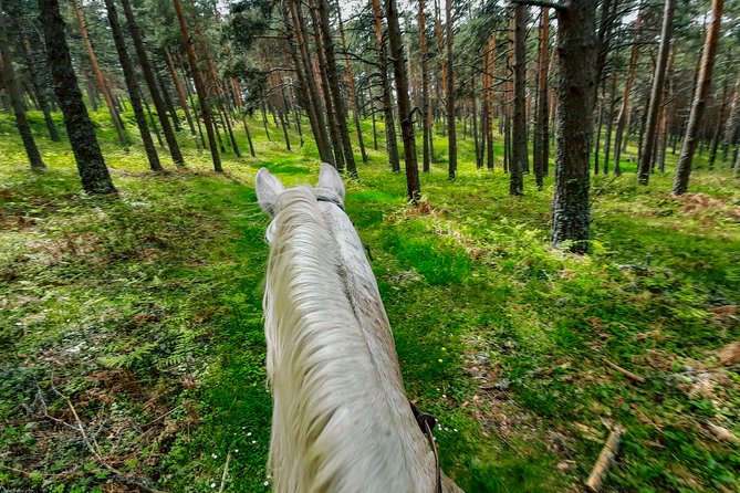 Private Horse Ride in Madrid natural park reserve - Price and Value: Is $112 Worth It?