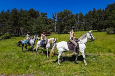 Private Horse Ride in Madrid natural park reserve - Tailored Trails by Skill: Walks to Rockier Downhills