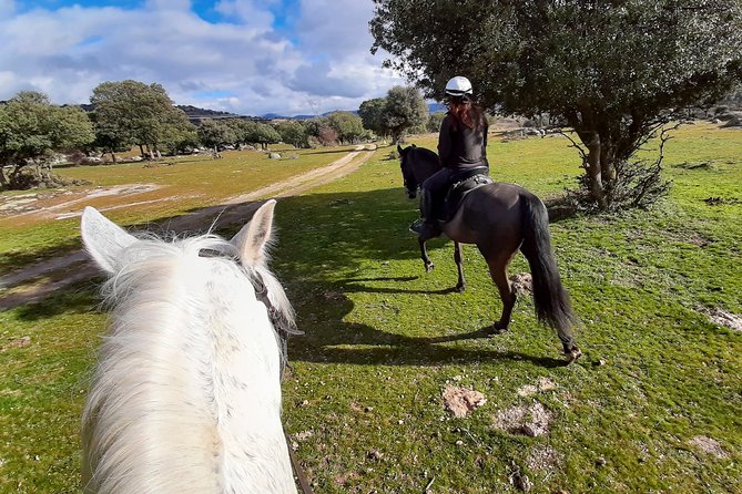 Private Horse Ride in Madrid natural park reserve - Who This Horse Ride Fits Best (and Who Should Ask Questions)