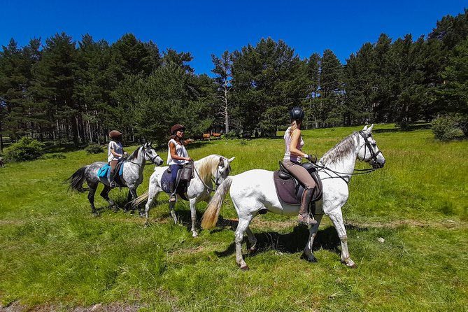 Private Horse Ride in Madrid natural park reserve - Tailored Trails by Skill: Walks to Rockier Downhills