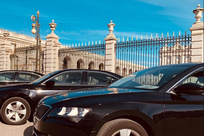 Private Transportation from Madrid Airport to City Center - Potential Snags: Meeting Spot Confusion (and the One Thing to Watch)