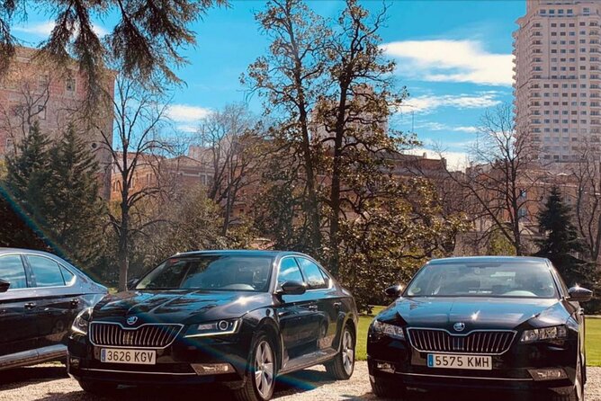 Private Transportation from Madrid Airport to City Center - Who This Transfer Suits Best