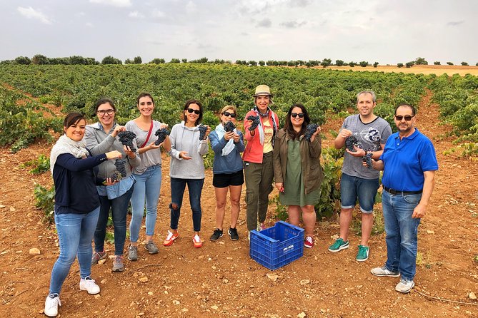 Private Winery Tour near Madrid with Sommelier (6-hour) - A 6-Hour Private Winery Day With Pickup From Central Madrid