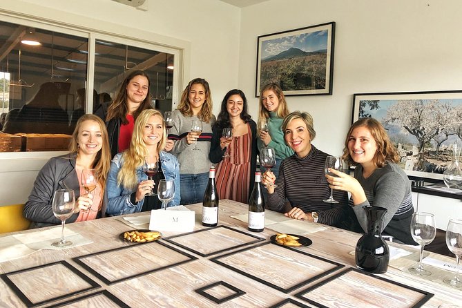 Private Winery Tour near Madrid with Sommelier (6-hour) - Food and Comfort: Tapas, Water, Snacks, and Timing
