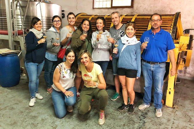 Private Winery Tour near Madrid with Sommelier (6-hour) - Transportation Value: When “Pickup Included” Actually Helps