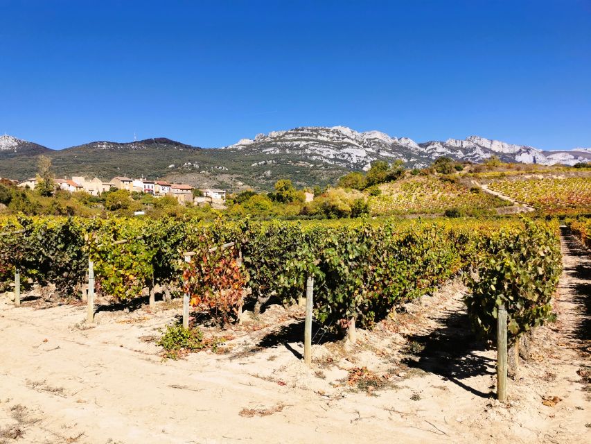 Ribera del Duero wine region private tour - Key highlights you should care about