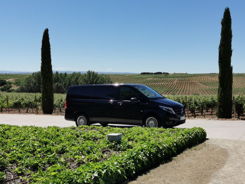 Ribera del Duero wine region private tour - Ribera del Duero in one day: what the drive really buys you