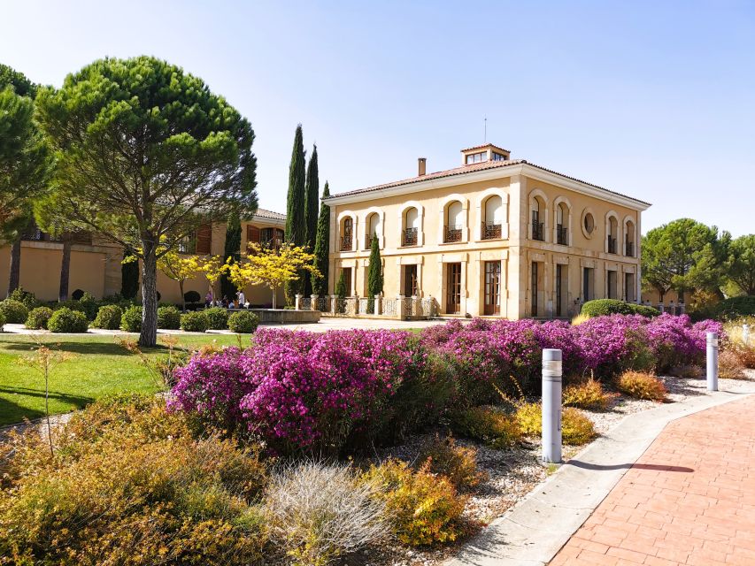 Ribera del Duero wine region private tour - Stop 2: Family winery with a 16th-century cellar where more than a thousand barrels age underground