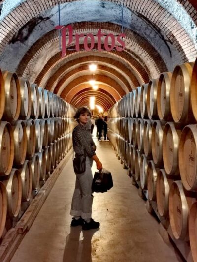 Ribera del Duero wine region private tour - Stop 1: Modern winery with avant-garde design and subway aging education