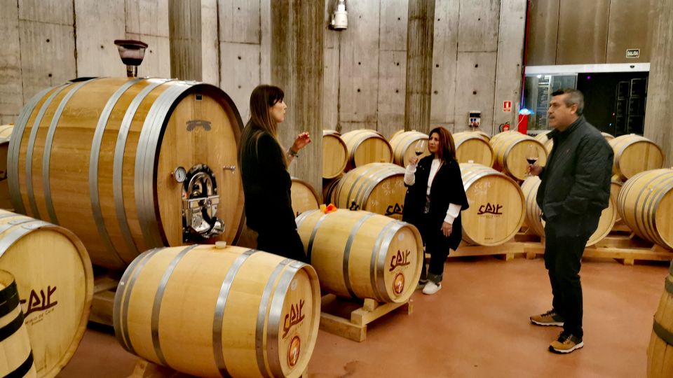 Ribera del Duero wine region private tour - Tempranillo styles: what to look for when you’re tasting