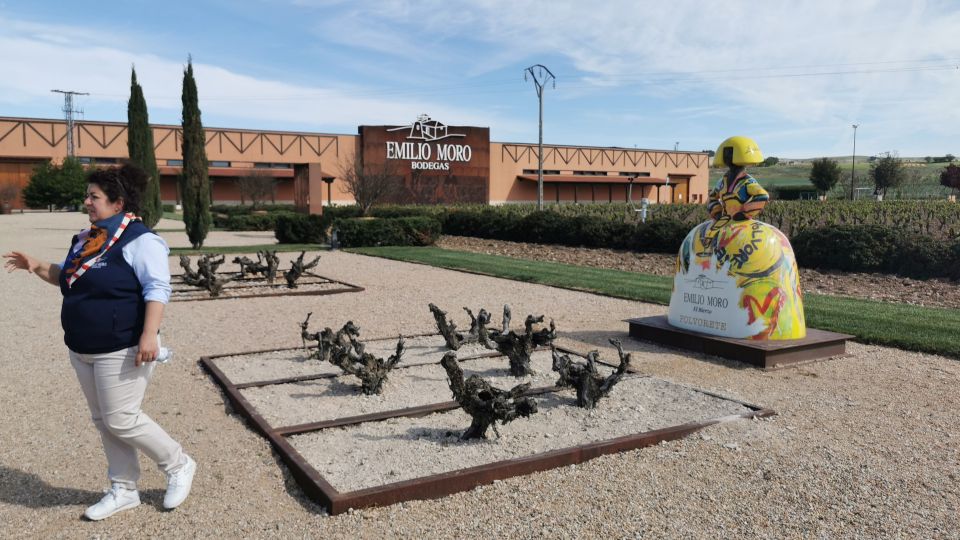 Ribera del Duero wine region private tour - Who this tour is best for (and who it might not be)