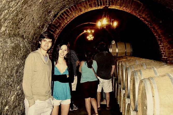 Ribera del Duero Winery Guided Tour and Wine Tasting from Madrid - Why this Ribera del Duero day trip feels different from a basic tasting