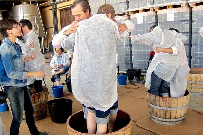 Ribera del Duero Winery Guided Tour and Wine Tasting from Madrid - What’s included (and what you’ll want to budget)