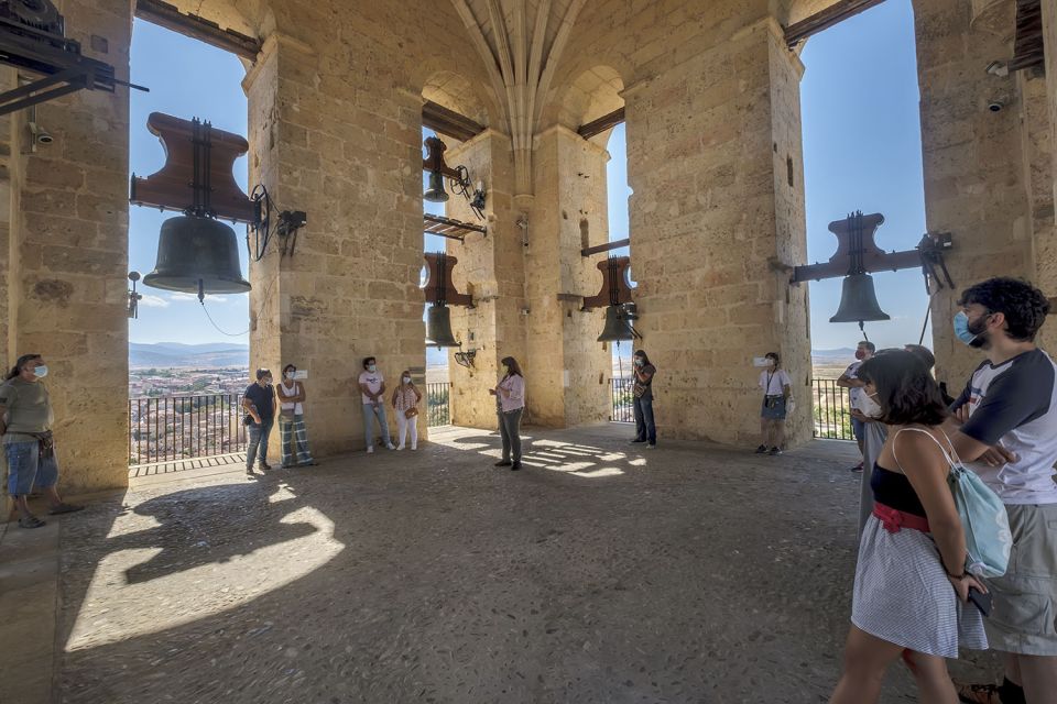 Segovia: Cathedral Tower Guided Tour - Flemish Tapestries and an English-Subtitled 2019 3D Video Room