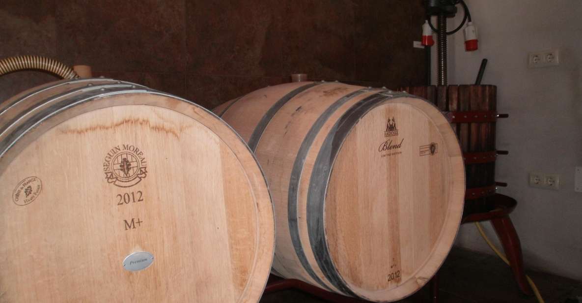 Segovia: Winery Tour with Wine Tasting - Key highlights you’ll care about