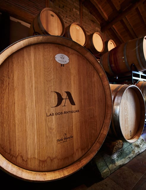 Segovia: Winery Tour with Wine Tasting - The guided winery visit: what you actually see and learn