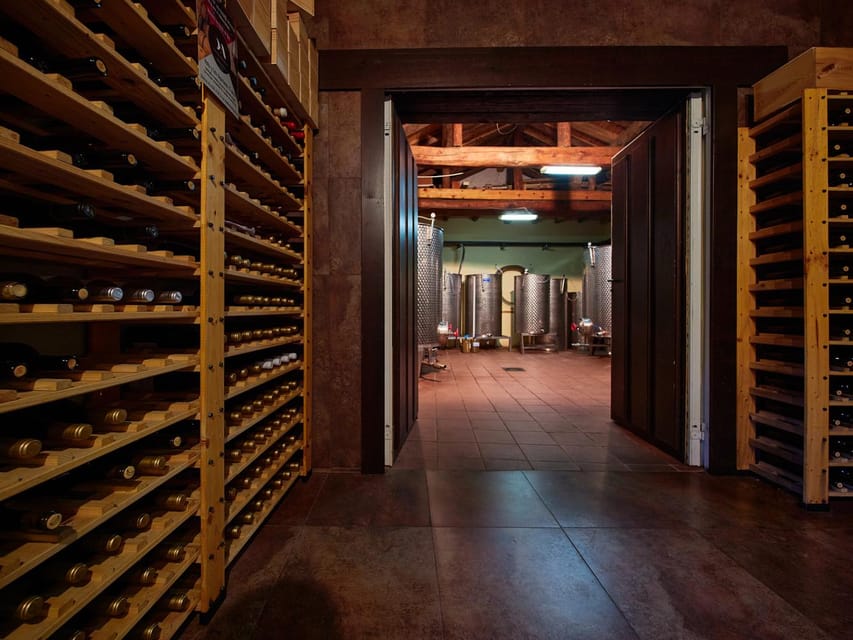 Segovia: Winery Tour with Wine Tasting - The tasting on a Spanish patio (and why it changes the vibe)