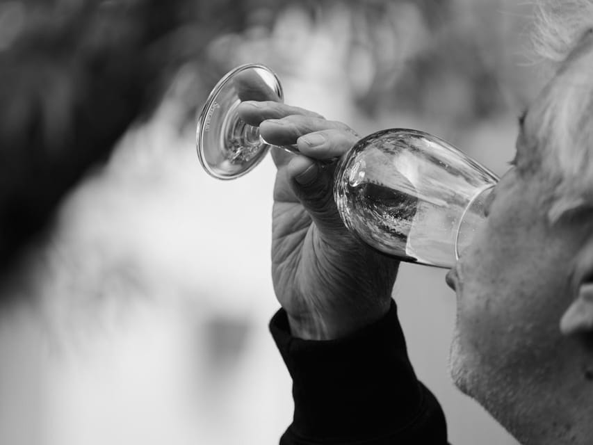 Segovia: Winery Tour with Wine Tasting - Who this tour is best for