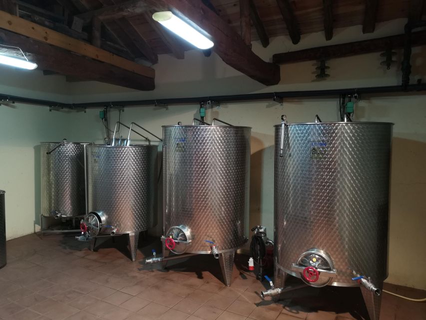 Segovia: Winery Tour with Wine Tasting - Finding the place: Navas de Oro, not downtown Segovia