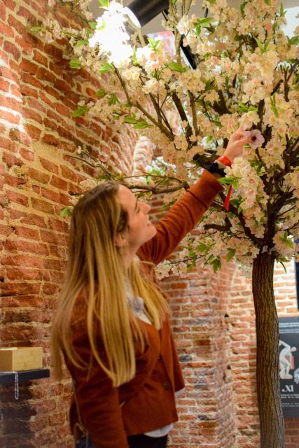 Ticket Entrance to the Madrid Nougat Museum - The Value Angle: For Food Lovers on a Budget