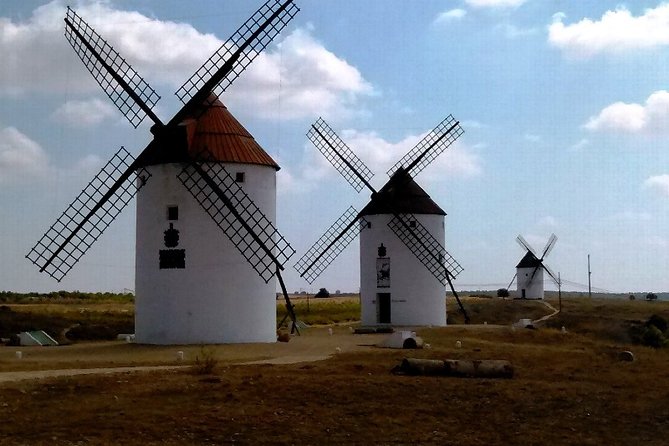 Toledo, Windmills, Winery Small Group Tour with Lunch from Madrid - Bodegas Peral Winery: Lunch, Wine Tasting, and a Real Break