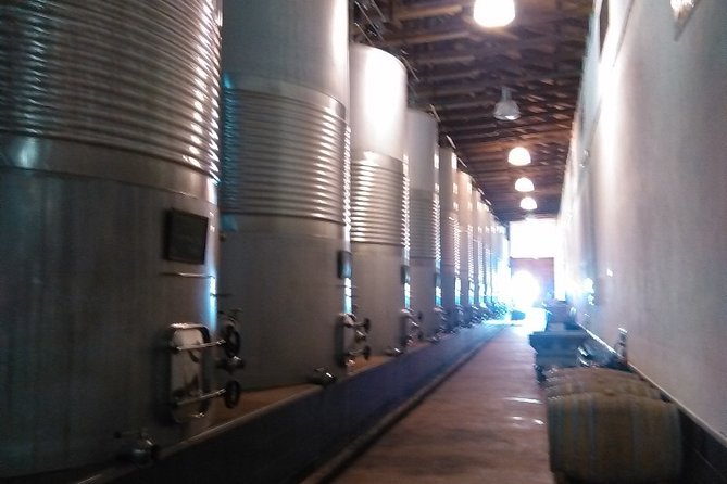 Toledo, Windmills, Winery Small Group Tour with Lunch from Madrid - The Small-Group Advantage: Real Pace Control